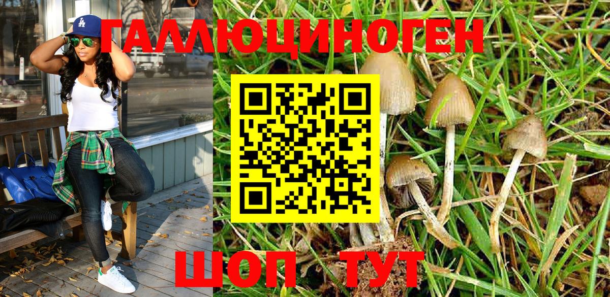 Псилоцибиновые грибы Magic Shrooms Камышин