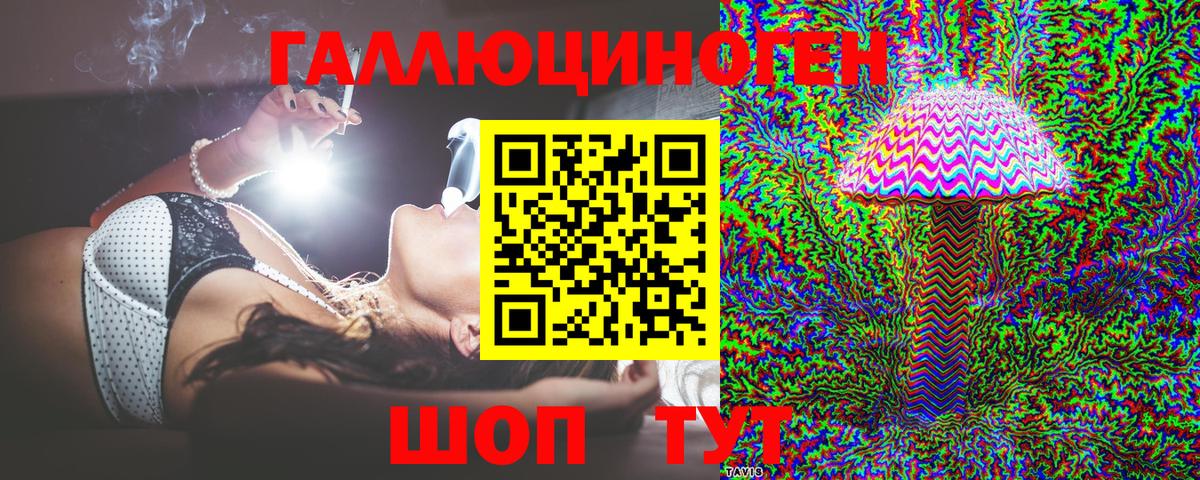 Галлюциногенные грибы прущие грибы  Вход с VPN  закладка  Галлюциногенные грибы Psilocybe  Камышин 